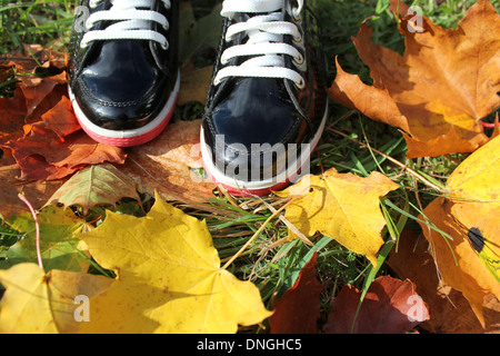 Autumn background- boots and leaves Stock Photo