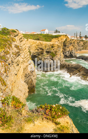 view of zambujeira do mar, in the foreground typical vegetation of the coastal area in the nature park   parque natural Stock Photo