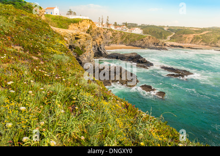 view of zambujeira do mar, in the foreground typical vegetation of the coastal area in the nature park   parque natural do sudoe Stock Photo