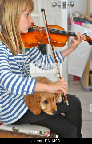 portrait of little girl playing the violin with a cockapoo poodle puppy dog sitting on her lap as she plays Stock Photo