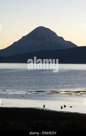 Parinacota volcano reflecting in the Chungara lake, Lauca national park, Chile Stock Photo