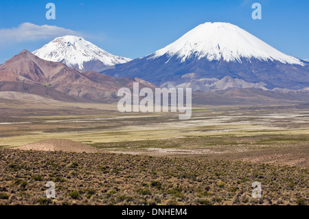 Parinacota and Pomerape volcanoes, Lauca national park, Chile Stock Photo