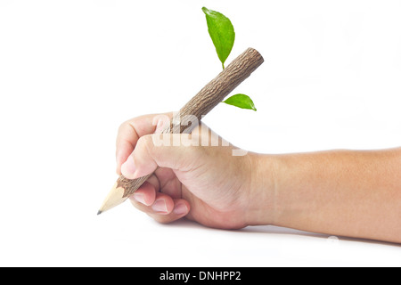 Wood Pencil In Man's Hand Isolated On White Background. Stock Photo