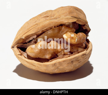 A half opened walnut and shell on a white background. Stock Photo