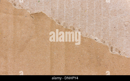 Ripped Brown Cardboard. Stock Photo