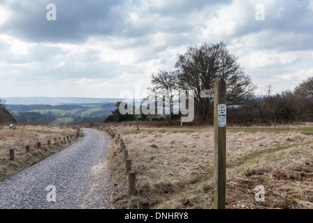 Winter Surrey countryside: footpath with wooden public byway fingerpost and walkers, Newlands Corner near Guildford, UK Stock Photo