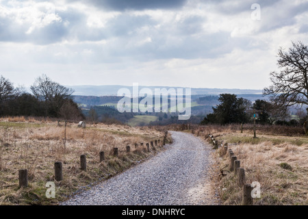 Landscape view of winter Surrey countryside in March: panoramic view with footpath and downland at Newlands Corner near Guildford, Surrey, UK Stock Photo