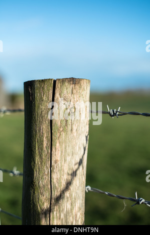 Wooden Fence Post with Barbed Wire. Stock Photo