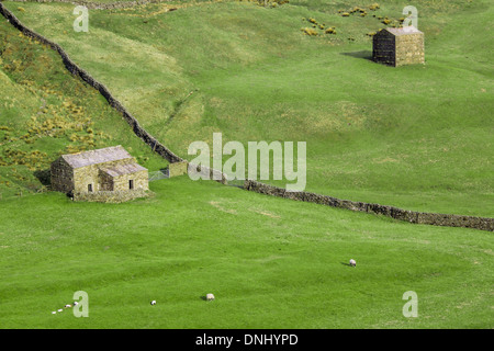 Traditional sheep farm in Scotland with green meadows and stone houses Stock Photo