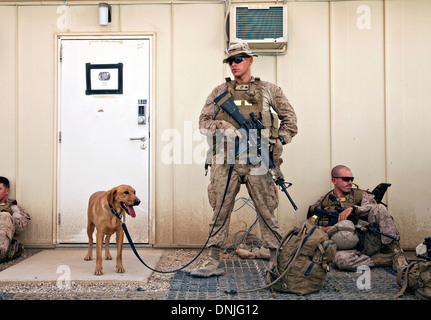 US Marine Corps Cpl. Timothy Vaillancourt and Sage, an improvised explosive detection dog wait to conduct mission rehearsals July 10, 2013 in Camp Leatherneck, Helmand province, Afghanistan. Stock Photo