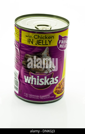 Whiskas cat food in tin chicken in jelly cut out white background copy space Stock Photo