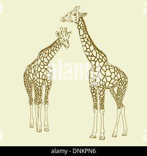 Two giraffes. Vector illustration. Stock Vector