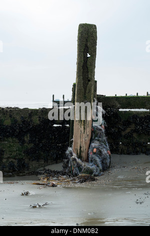 A weathered groyne with washed up fishing nets tangled Stock Photo