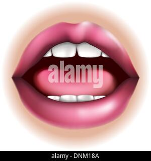 An illustration of a mouth nose body part, could represent taste in the five senses Stock Vector