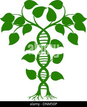 Green tree illustration with the trees or vines forming a DNA double helix Stock Vector