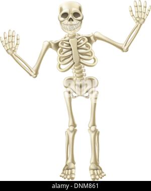 Drawing of a cute cartoon waving skeleton character. Great for Halloween or similar. Stock Vector
