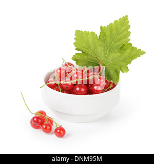 fresh red currant in porcelain bowl, isolated on white Stock Photo
