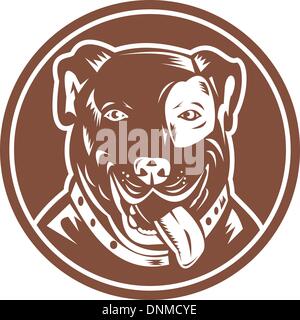 illustration of an American Pit bull Terrier set inside a circle Stock Vector