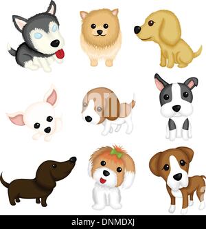 Cute dog breeds pedigree vector illustration set Stock Vector Image ...