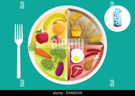 A vector illustration of different food groups on a plate Stock Vector