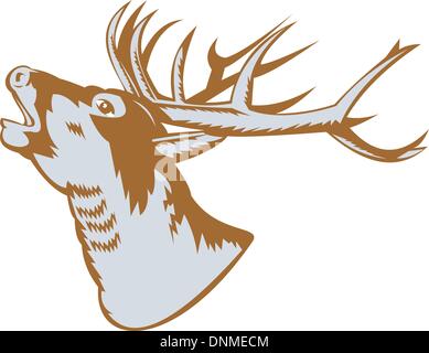 Illustration of a stag deer buck roaring on white background. Stock Vector