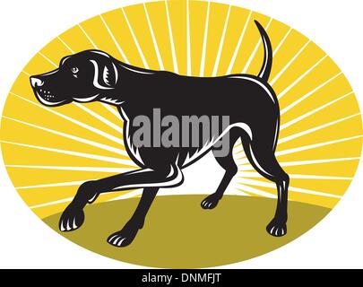 illustration of a Pointer dog with sunburst in background done in retro style set inside an oval. Stock Vector