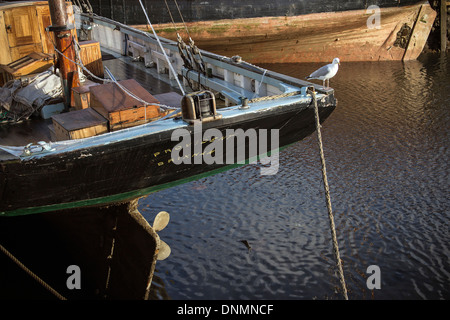 Provident,moored,Brixham,Devon,keel,prop,gul,boat, breakwater, brixham, coast, devon, england, fish, fishing, harbor, harbour, m Stock Photo