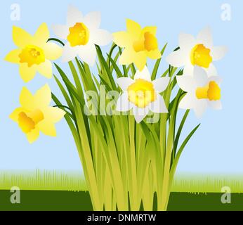 Summer flowers. Spring plants in flat style isolated on white ...