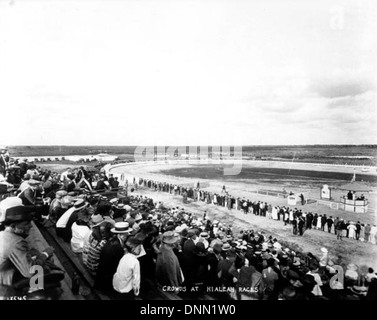 Greyhound races in Hialeah, Florida Stock Photo