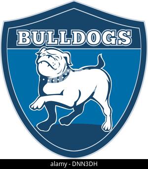 illustration of a Proud English bulldog marching with words bulldogs' in background set inside a shield suitable for any sports team mascot' Stock Vector