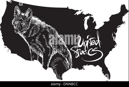 Coyote and U.S. outline map. Black and white vector illustration. Canis latrans. Stock Vector