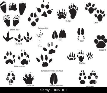Biggest collection of animal and bird trails with title Stock Vector