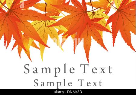 Backgroundframe from  maple  leaves. Vector illustration. Stock Vector