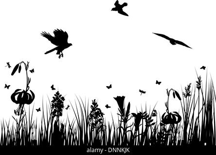 Vector grass silhouettes backgrounds for design use Stock Vector