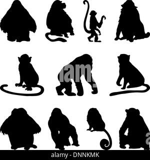 Collection of apes silhouettes. Vector illustration. Stock Vector