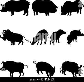 Collection of pigs and boars silhouettes. Vector illustration. Stock Vector