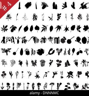 Vector collection of different plants and flowers silhouettes #4 Stock Vector