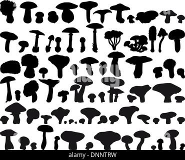Big collection of different vector fungus silhouettes Stock Vector