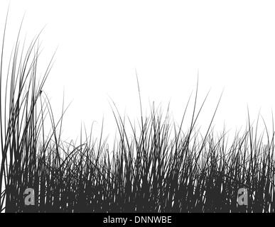 Vector grass silhouettes background for design use Stock Vector