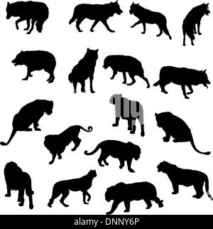 Set of wolves, tigers, leopareds and lions silhouettes. Vector illustration. Stock Vector