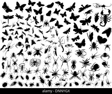 Big collection of different vector insects silhouettes Stock Vector