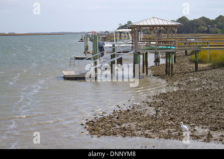 A white heron on a muddy shell beach next to a line of boat docks on the water in South Carolina