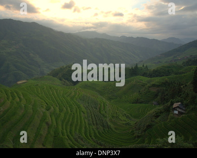 The Longsheng Rice Terraces (Lóngshèng Tītián) or Dragon's Backbone Rice Terraces, located in Longsheng County, about 100 km fro Stock Photo