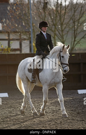 Horse and rider riding around an arena taking part in a dressage competition Stock Photo