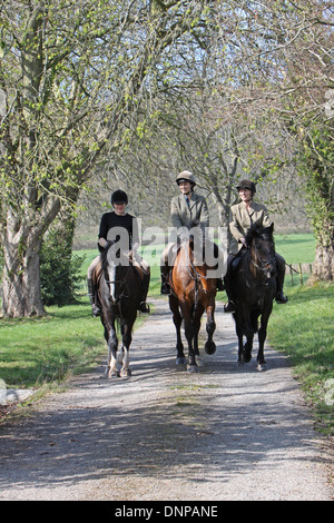 Horses and riders hacking out down a quiet country lane Stock Photo - Alamy