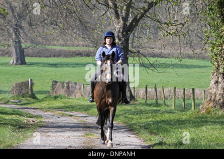 Horse and rider hacking out down a quiet country lane Stock Photo - Alamy