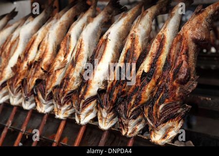 Steckerlfisch ('fish on sticks') cook over charcoal at the Oktoberfest in Munich, Germany. Stock Photo