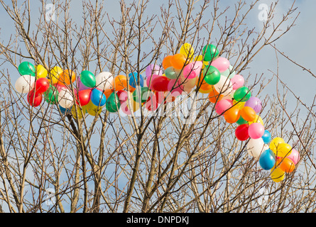 String of colourful balloons caught in the branches of a tree South Shields, north east England UK Stock Photo