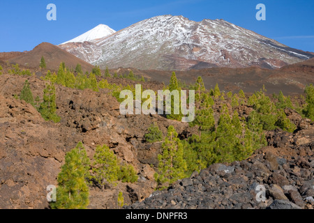 Mount Teide, Roques Blancos & Pico Viejo from volcanoes field Stock Photo