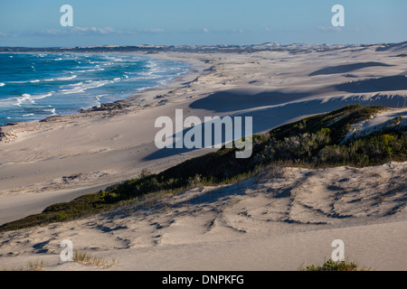 Coastal dunes & beach at De Hoop Nature Reserve, Western Cape, South Africa Stock Photo